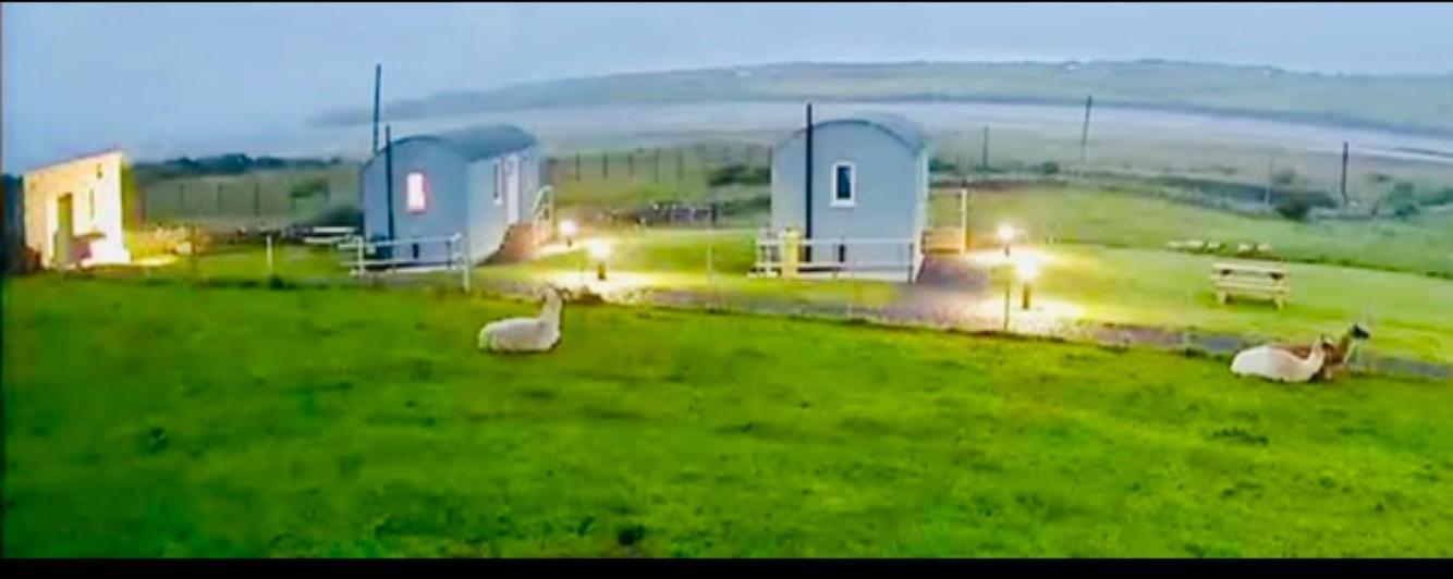 The Snuggly Sheep Shepherd Hut Farm Stay 밸리셰넌 외부 사진